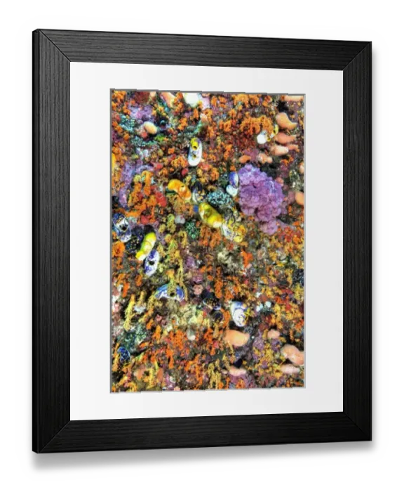 Framed Print : Asia, Indonesia Framed Print : Asia, Indonesia