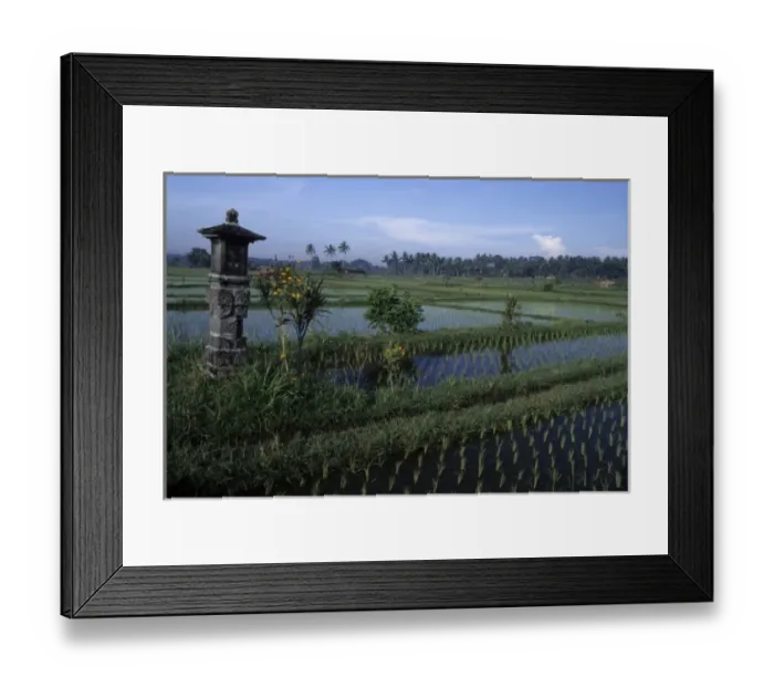 Framed Print : Indonesia, Bali. Stone altars, where offerings to Hindu Gods are made daily, dot the rice fields Framed Print : Indonesia, Bali. Stone altars, where offerings to Hindu Gods are made daily, dot the rice fields