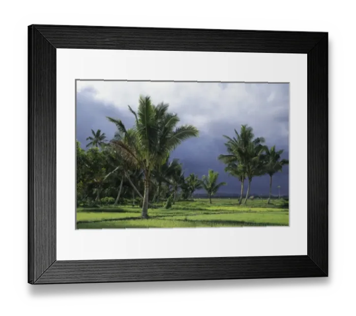 Framed Print : Indonesia, Sulawesi. Palm trees and rice paddies near Lake Tonano (near Manado) Framed Print : Indonesia, Sulawesi. Palm trees and rice paddies near Lake Tonano (near Manado)