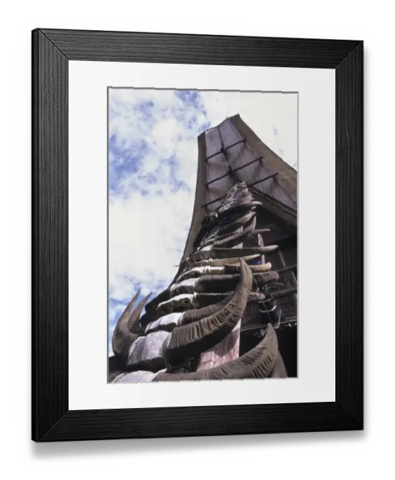 Framed Print : Indonesia, Sulawesi, Tana Toraja Region. Buffalo horns from sacrifices adorn