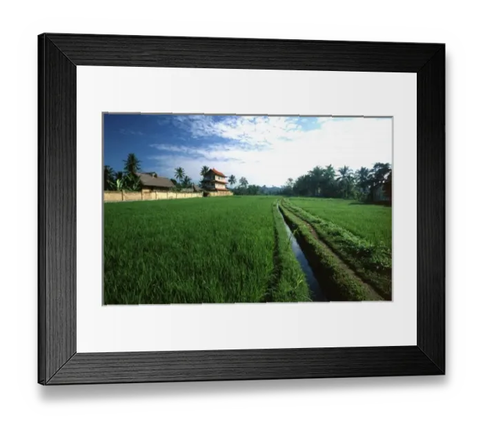 Framed Print : Asia, Indonesia, Bali, Ubud, rice field and Balinese house