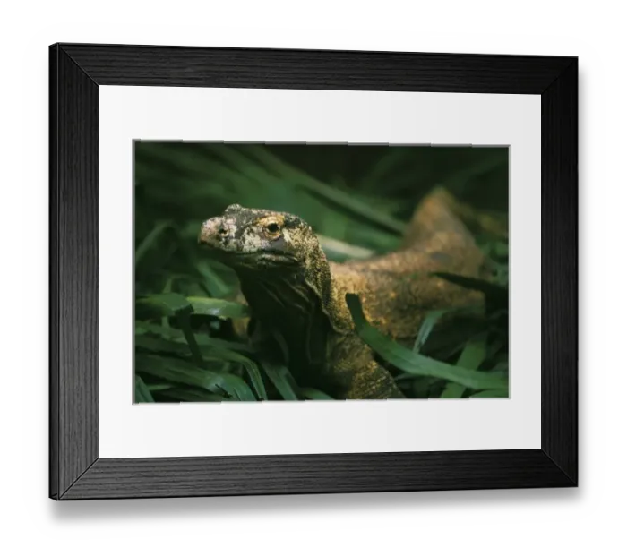 Framed Print : Asia, Indonesia Framed Print : Asia, Indonesia