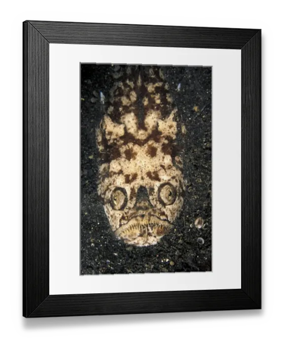 Framed Print : Asia, Indonesia Framed Print : Asia, Indonesia