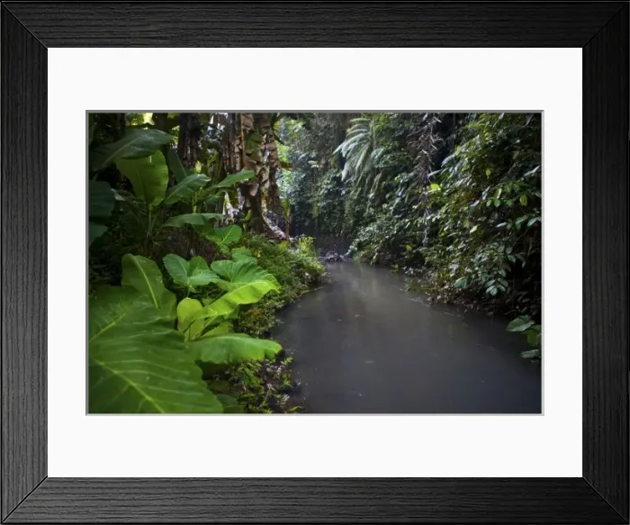 Framed Print : Bali, Indonesia. An illegal trash dump located in the Ubud region of Bali. Residents pull up Framed Print : Bali, Indonesia. An illegal trash dump located in the Ubud region of Bali. Residents pull up