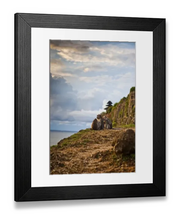 Framed Print : Bali, Indonesia. As is common in Indonesian temples, monkeys run free through the Uluwatu temple Framed Print : Bali, Indonesia. As is common in Indonesian temples, monkeys run free through the Uluwatu temple