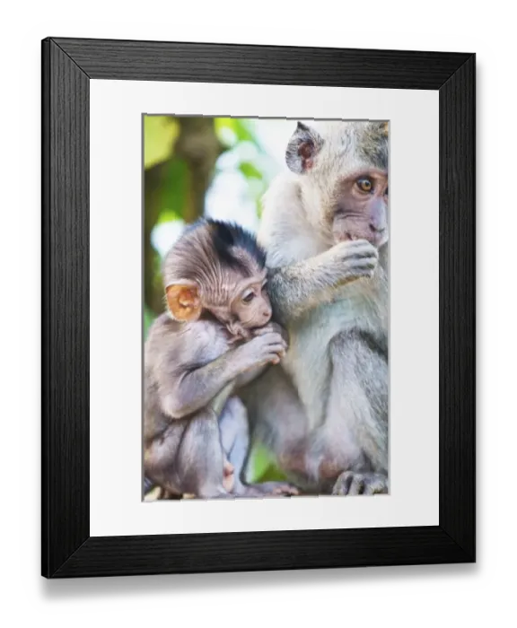 Framed Print : Asia, Indonesia Framed Print : Asia, Indonesia