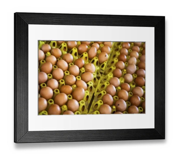 Framed Print : Asia, Indonesia Framed Print : Asia, Indonesia