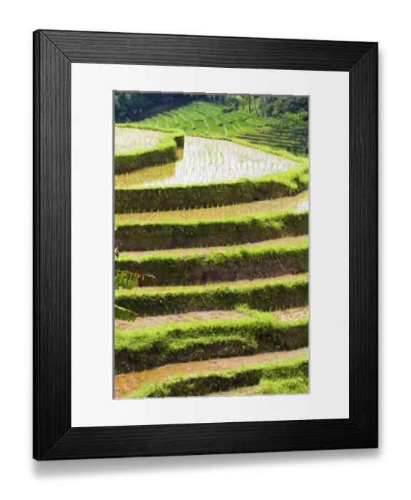 Framed Print : Asia, Indonesia Framed Print : Asia, Indonesia