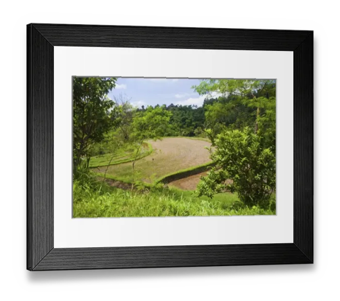 Framed Print : Asia, Indonesia