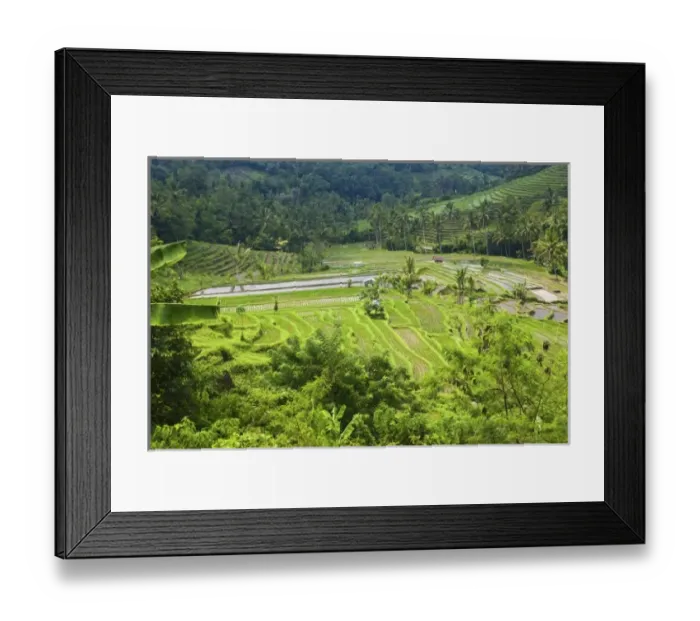 Framed Print : Asia, Indonesia Framed Print : Asia, Indonesia