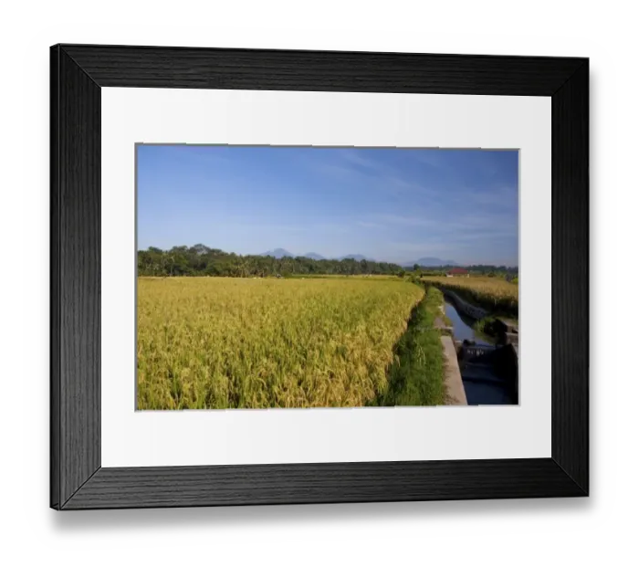 Framed Print : Asia, Indonesia Framed Print : Asia, Indonesia