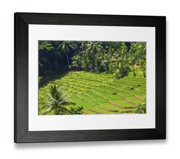 Framed Print : Asia, Indonesia Framed Print : Asia, Indonesia
