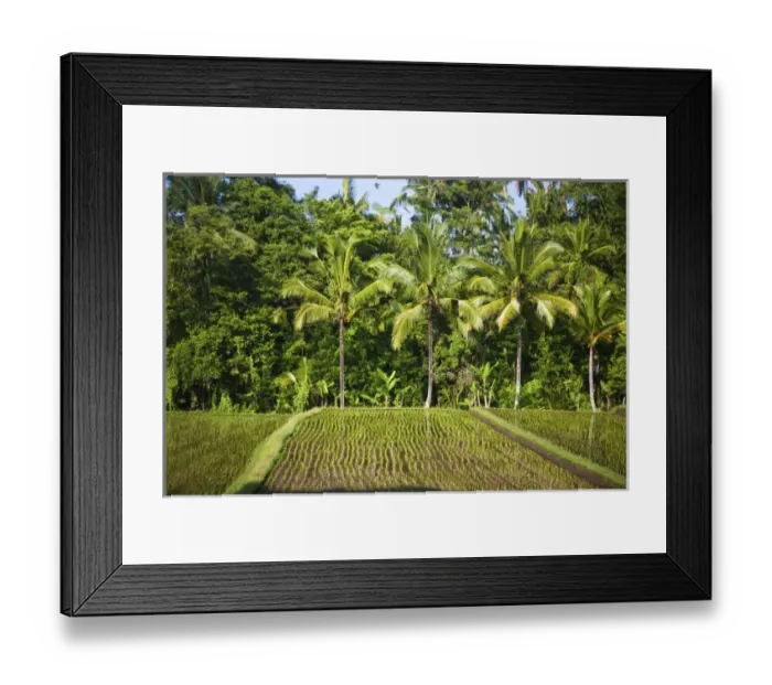 Framed Print : Asia, Indonesia Framed Print : Asia, Indonesia