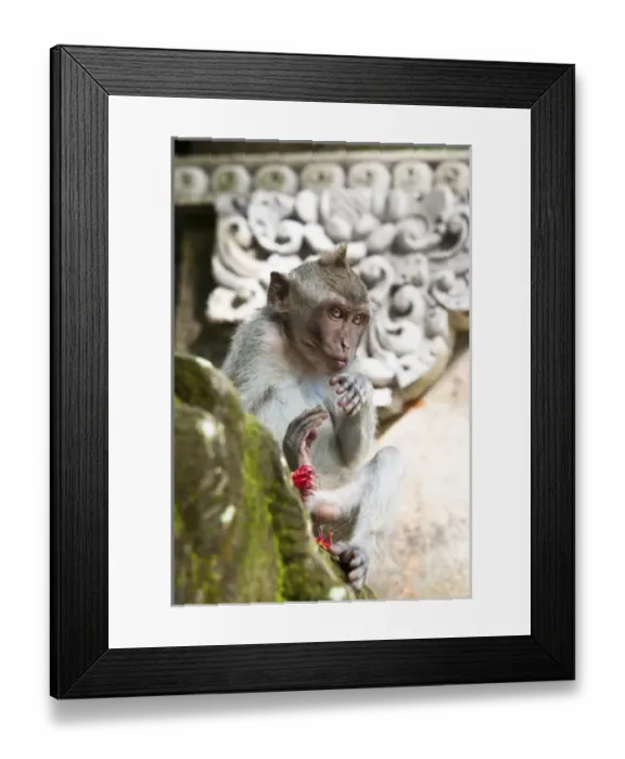 Framed Print : Asia, Indonesia Framed Print : Asia, Indonesia