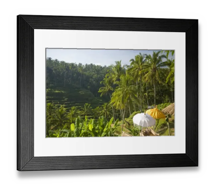 Framed Print : Asia, Indonesia