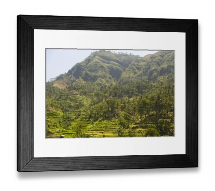 Framed Print : Tukadabu Rice Terraces near Tulamben, North Bali, Indonesia, S. E. Asia (RF) Framed Print : Tukadabu Rice Terraces near Tulamben, North Bali, Indonesia, S. E. Asia (RF)