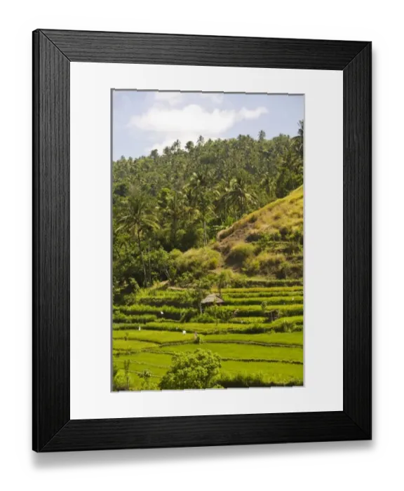 Framed Print : Asia, Indonesia Framed Print : Asia, Indonesia