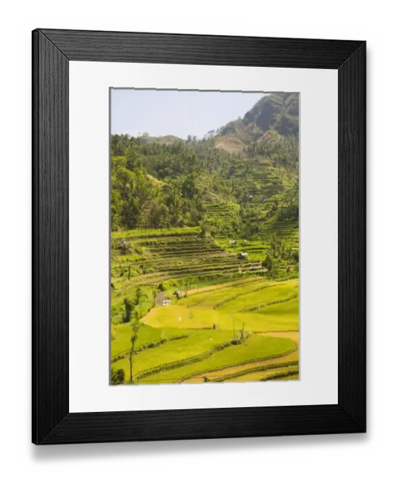 Framed Print : Asia, Indonesia Framed Print : Asia, Indonesia