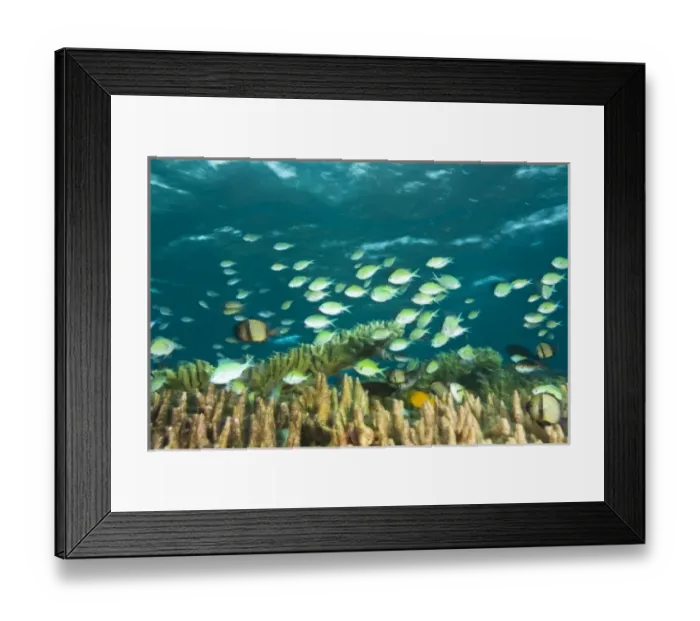 Framed Print : Asia, Indonesia Framed Print : Asia, Indonesia