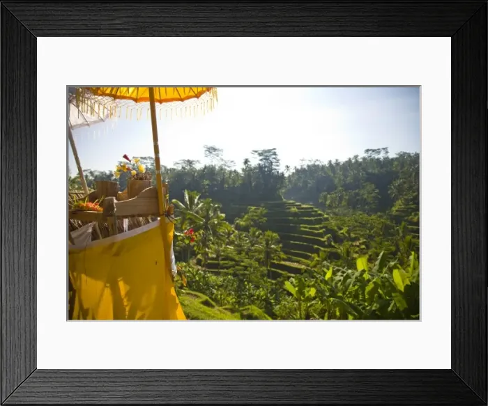 Framed Print : Indonesia, Bali Province, Ubud. Tegalalang Rice Terraces