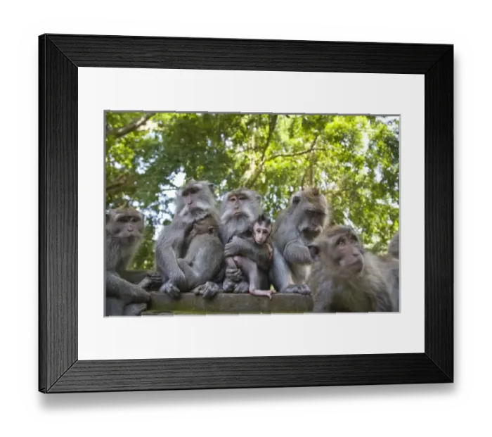 Framed Print : Asia, Indonesia