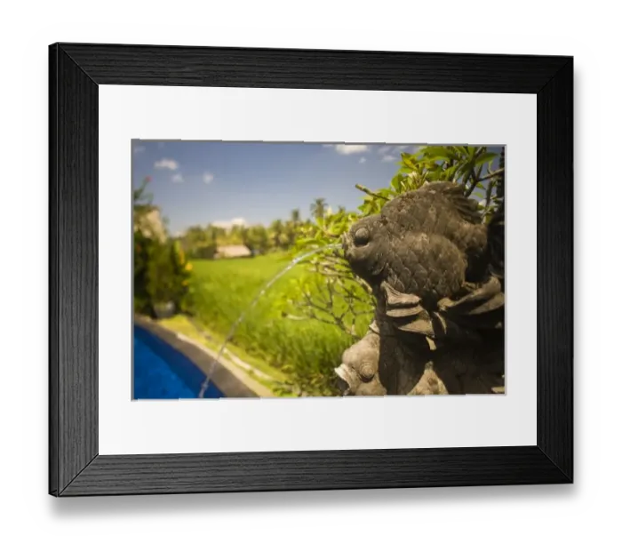 Framed Print : Asia, Indonesia