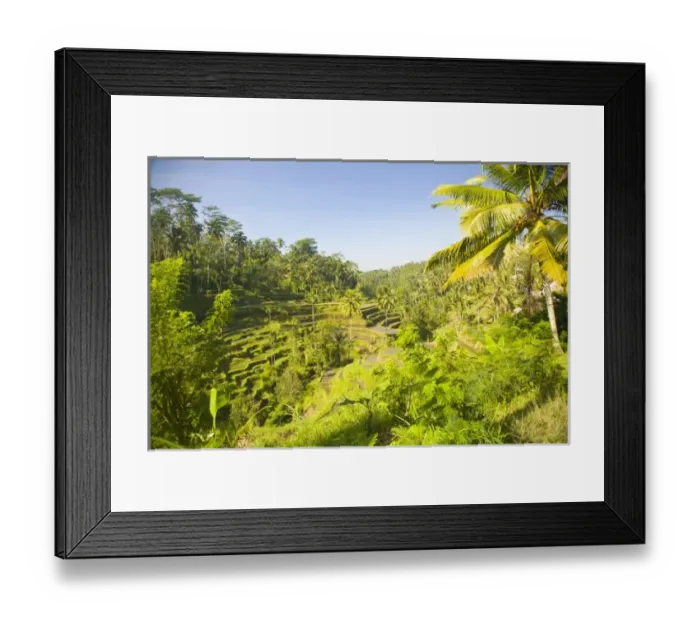 Framed Print : Asia, Indonesia Framed Print : Asia, Indonesia