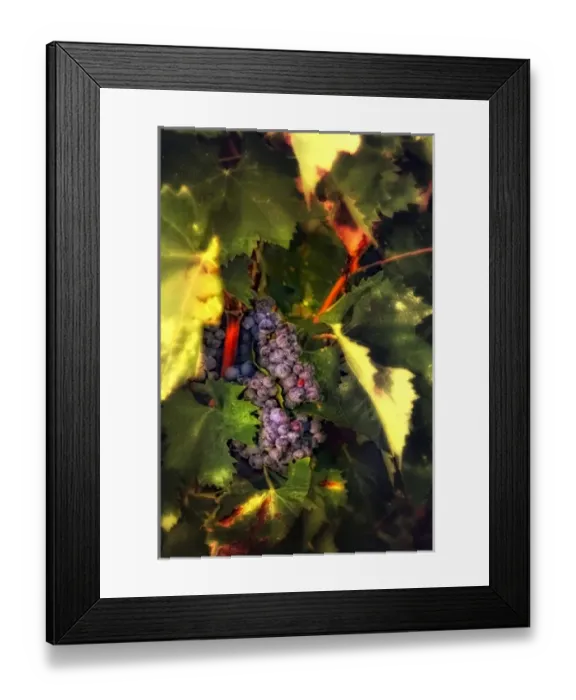Framed Print : Europe, Italy Framed Print : Europe, Italy