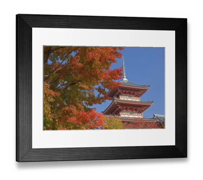 Framed Print : Asia, Japan, Kyoto, Autumn Colour Framed Print : Asia, Japan, Kyoto, Autumn Colour