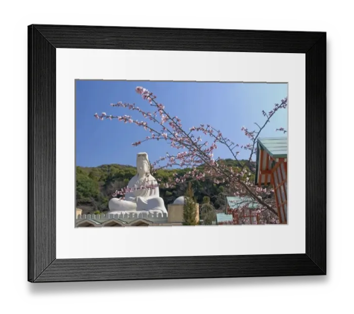 Framed Print : Asia, Japan, Kyoto, Cherry Blossom Framed Print : Asia, Japan, Kyoto, Cherry Blossom