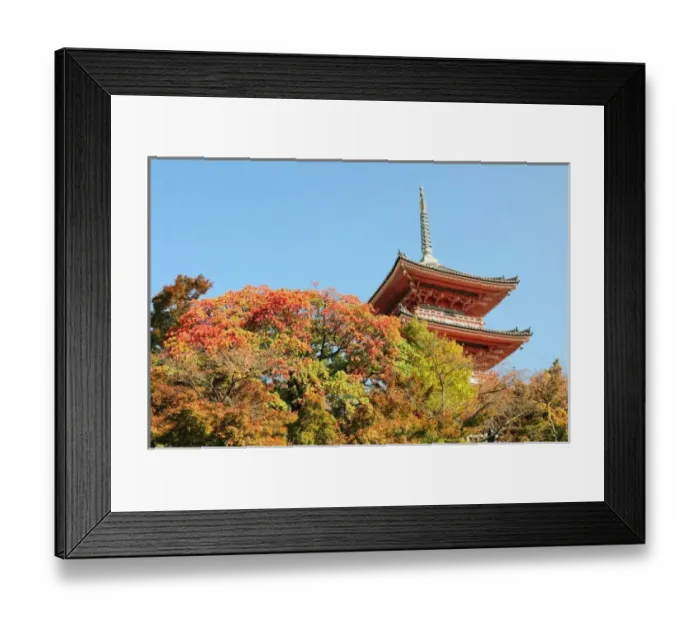 Framed Print : Japan, Kyoto. Kiyomizu temple in Autumn color Framed Print : Japan, Kyoto. Kiyomizu temple in Autumn color