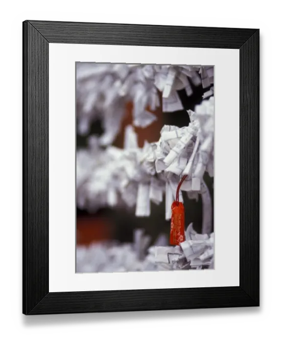 Framed Print : Japan, Kyoto. Wishes at Yasaka Shrine Framed Print : Japan, Kyoto. Wishes at Yasaka Shrine