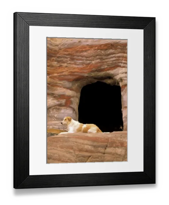 Framed Print : Asia, Jordan, Petra. Dog guards silk tomb Framed Print : Asia, Jordan, Petra. Dog guards silk tomb