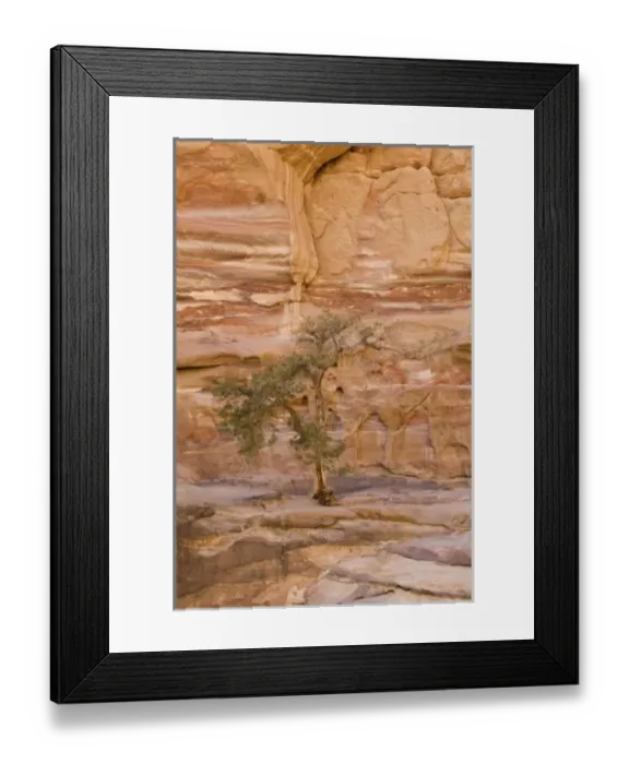 Framed Print : Jordan, Petra