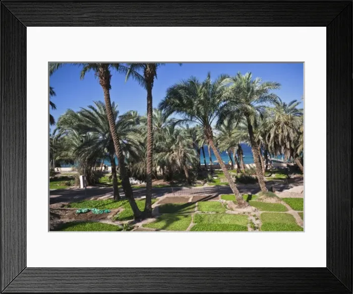 Framed Print : Jordan, Aqaba, Aqaba Beach, Corniche gardens