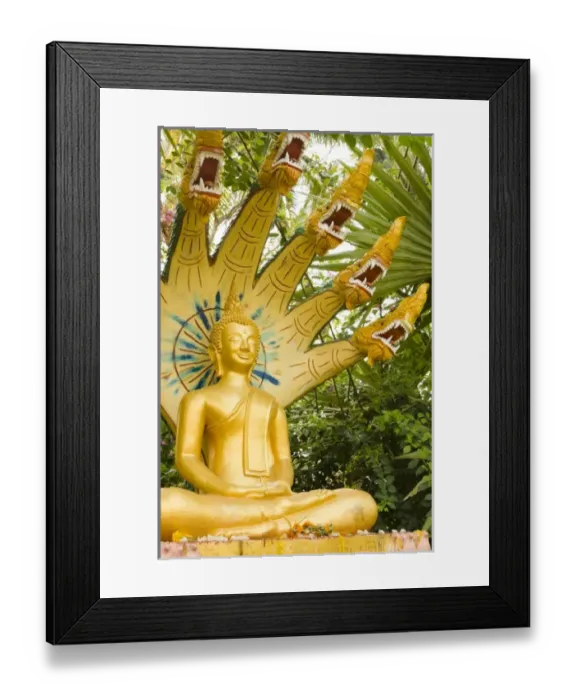 Framed Print : Asia, Laos