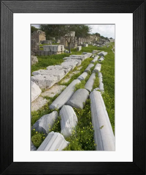 Framed Print : Marble columns lying on the ground in the hippodrome, Tyre, Lebanon Framed Print : Marble columns lying on the ground in the hippodrome, Tyre, Lebanon