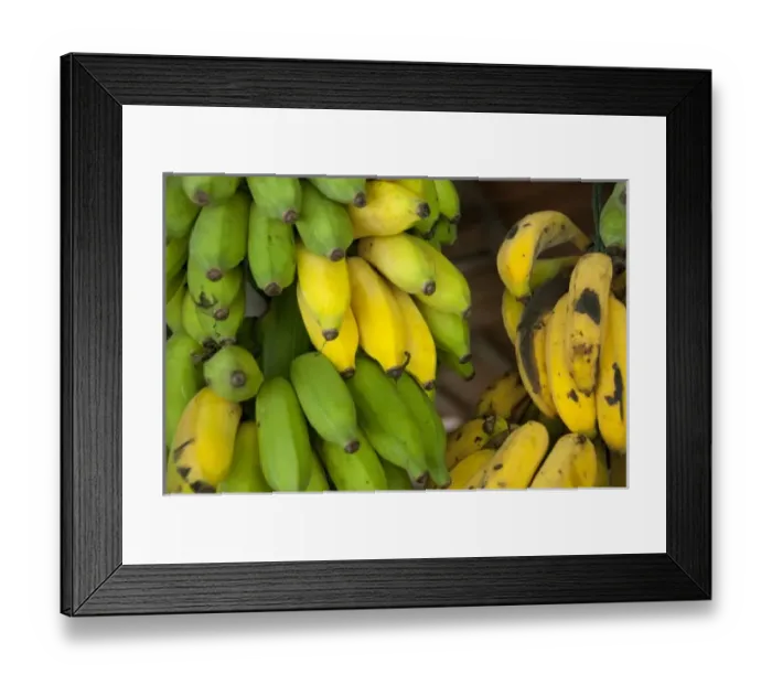 Framed Print : Asia, Malaysia Framed Print : Asia, Malaysia