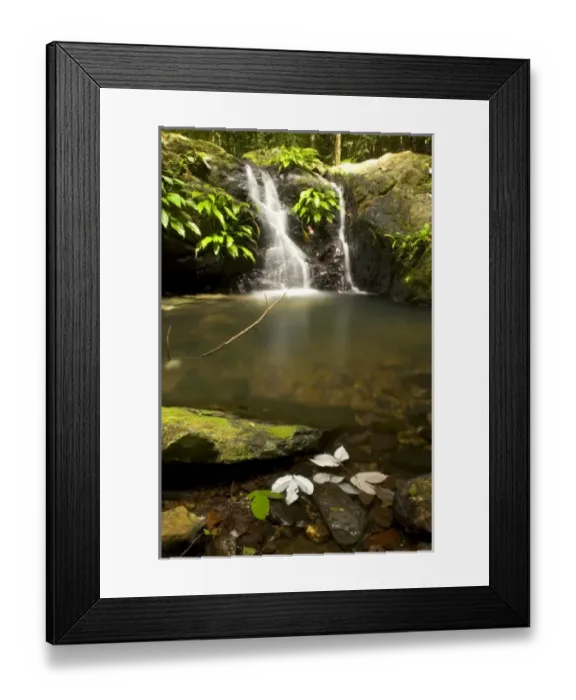 Framed Print : Asia, Malaysia Framed Print : Asia, Malaysia
