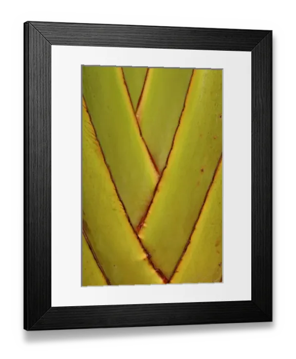 Framed Print : Asia, Malaysia