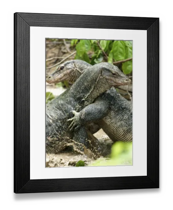 Framed Print : Asia, Malaysia Framed Print : Asia, Malaysia
