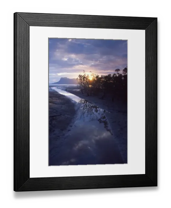 Framed Print : Asia, Borneo, Malaysia, Sarawak, Bako National Park, sunset through mangrove forest Framed Print : Asia, Borneo, Malaysia, Sarawak, Bako National Park, sunset through mangrove forest