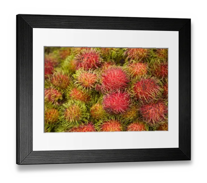 Framed Print : Rombutan fruit, Central Market, capital city of Kuala Lumpur, Malaysia Peninsula Framed Print : Rombutan fruit, Central Market, capital city of Kuala Lumpur, Malaysia Peninsula