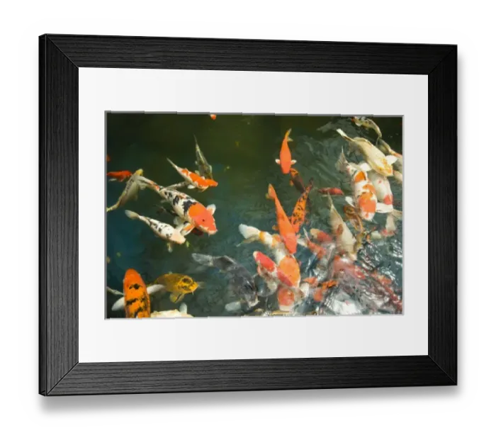 Framed Print : Asia, Malaysia Framed Print : Asia, Malaysia