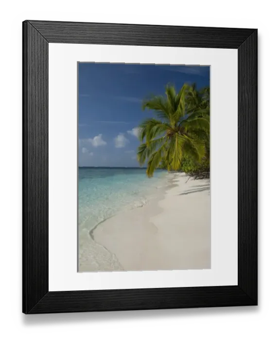 Framed Print : Maldives, North Male Atoll, Island of Kuda Bandos. Palm trees on white sand beach
