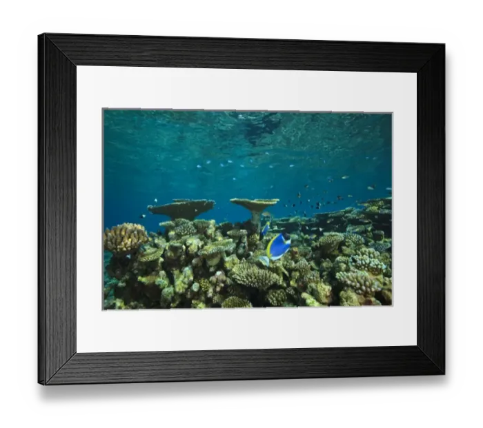 Framed Print : North Huvadhoo Atoll, Southern Maldives, Indian Ocean