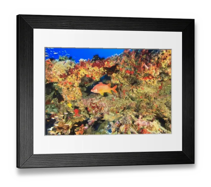 Framed Print : Asia, Maldives Framed Print : Asia, Maldives