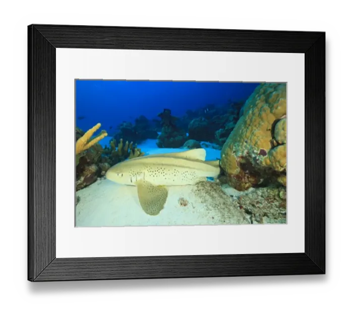Framed Print : South Huvadhoo Atoll, Southern Maldives, Indian Ocean