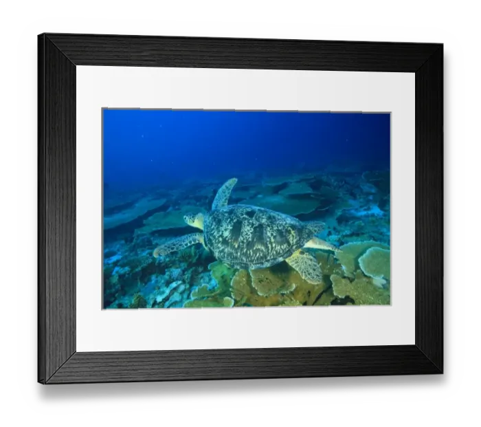 Framed Print : South Huvadhoo Atoll, Southern Maldives, Indian Ocean