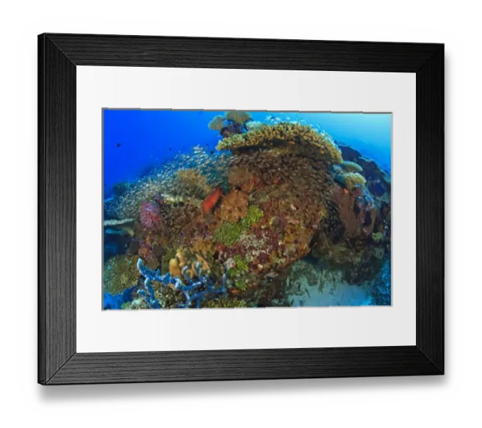 Framed Print : South Huvadhoo Atoll, Southern Maldives, Indian Ocean Framed Print : South Huvadhoo Atoll, Southern Maldives, Indian Ocean